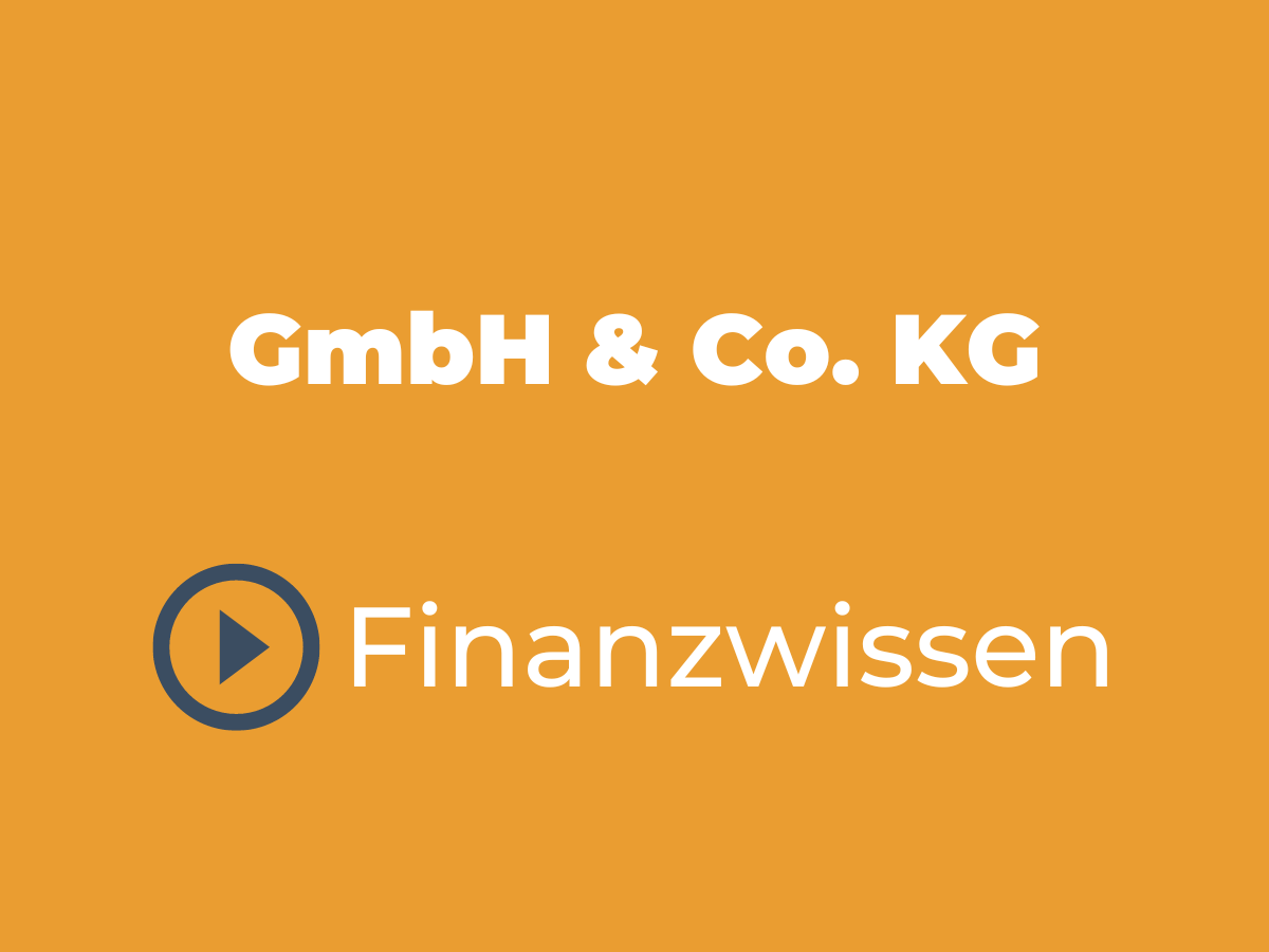 GmbH & Co. KG Ein Leitfaden durch die Geschäftsform